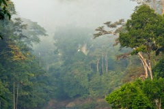 Danum Valley, Sabah, Borneo